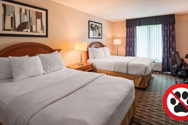 Hotel BEST WESTERN PLUS CLEARFIELD (Clearfield)
